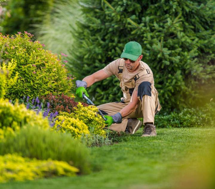 Entretien espace vert Vierzon